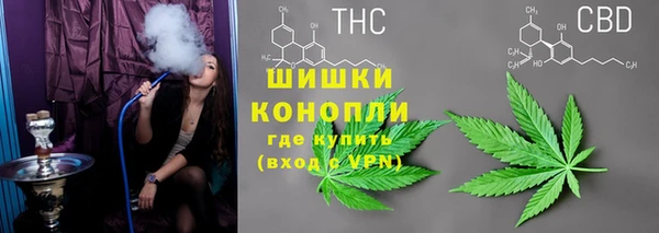твердый Лагань