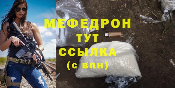 твердый Лагань