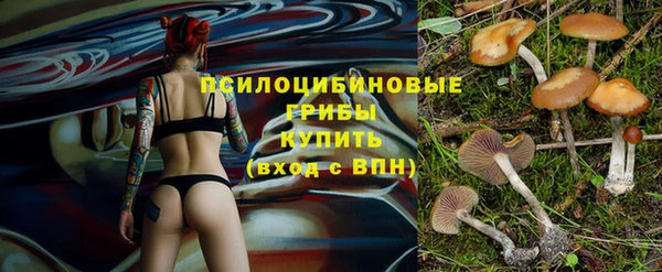 гидропоника Ладушкин