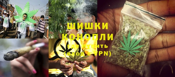 твердый Лагань