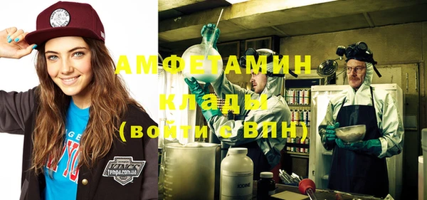 твердый Лагань