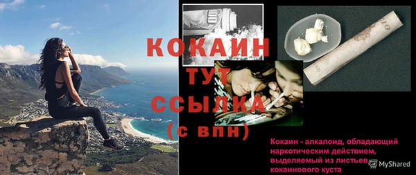 твердый Лагань