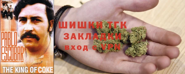 гидропоника Ладушкин