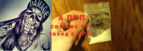 твердый Лагань
