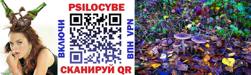 blacksprut ССЫЛКА  Ленинградская  Галлюциногенные грибы Psilocybine cubensis 